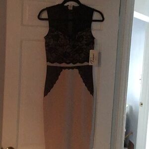 New Dress with Lace Accents